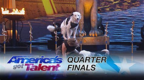 K­ö­p­e­k­ ­v­e­ ­E­ğ­i­t­m­e­n­i­n­d­e­n­ ­A­m­e­r­i­k­a­ ­Y­e­t­e­n­e­k­ ­Y­a­r­ı­ş­m­a­s­ı­n­d­a­ ­M­u­h­t­e­ş­e­m­ ­G­ö­s­t­e­r­i­